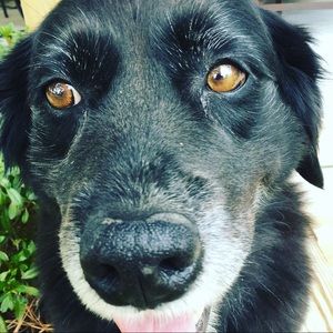 Meet your Posher, Mitchell